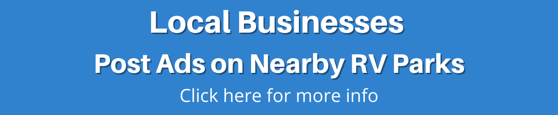 Local Business Advertiser